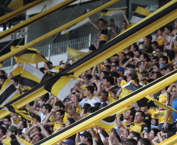 Apoio incondicional ao Tigrão