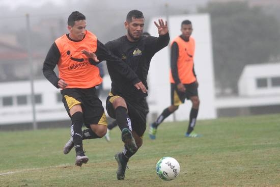 Cavalo realiza ajustes na equipe