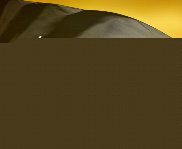 Goiás e Criciúma terá telão para sócios no Majestoso