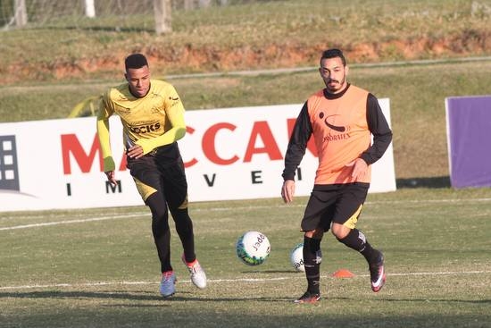 Tigre encara o Paraná