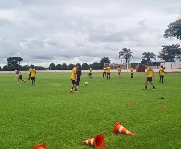 Tigre estreia na Copa SP nesta segunda-feira