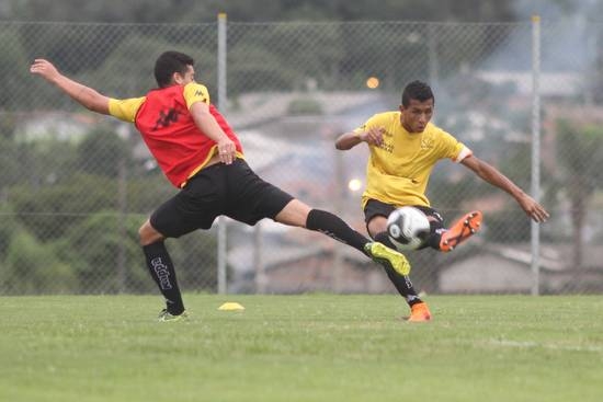 Tigre faz treino técnico e de força