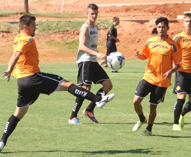 Tigre realiza trabalho físico e técnico