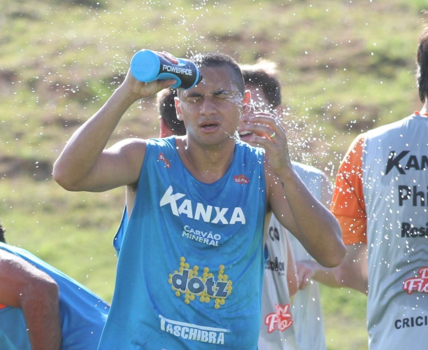 Tigre trabalha sob forte calor