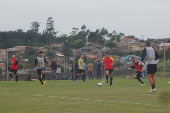 Tigre treina ataque e defesa