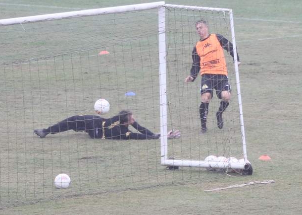 Tigre treina e viaja ao Ceará