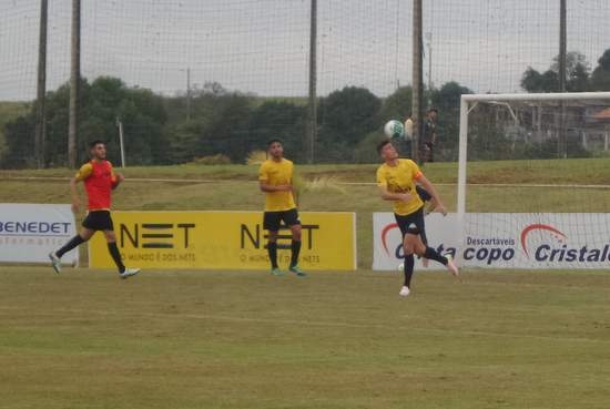 Tigre treina parte física e técnica