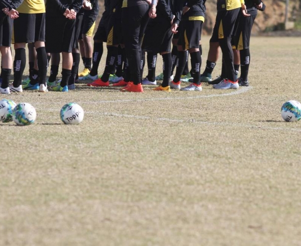 Tigre viaja com 18 jogadores