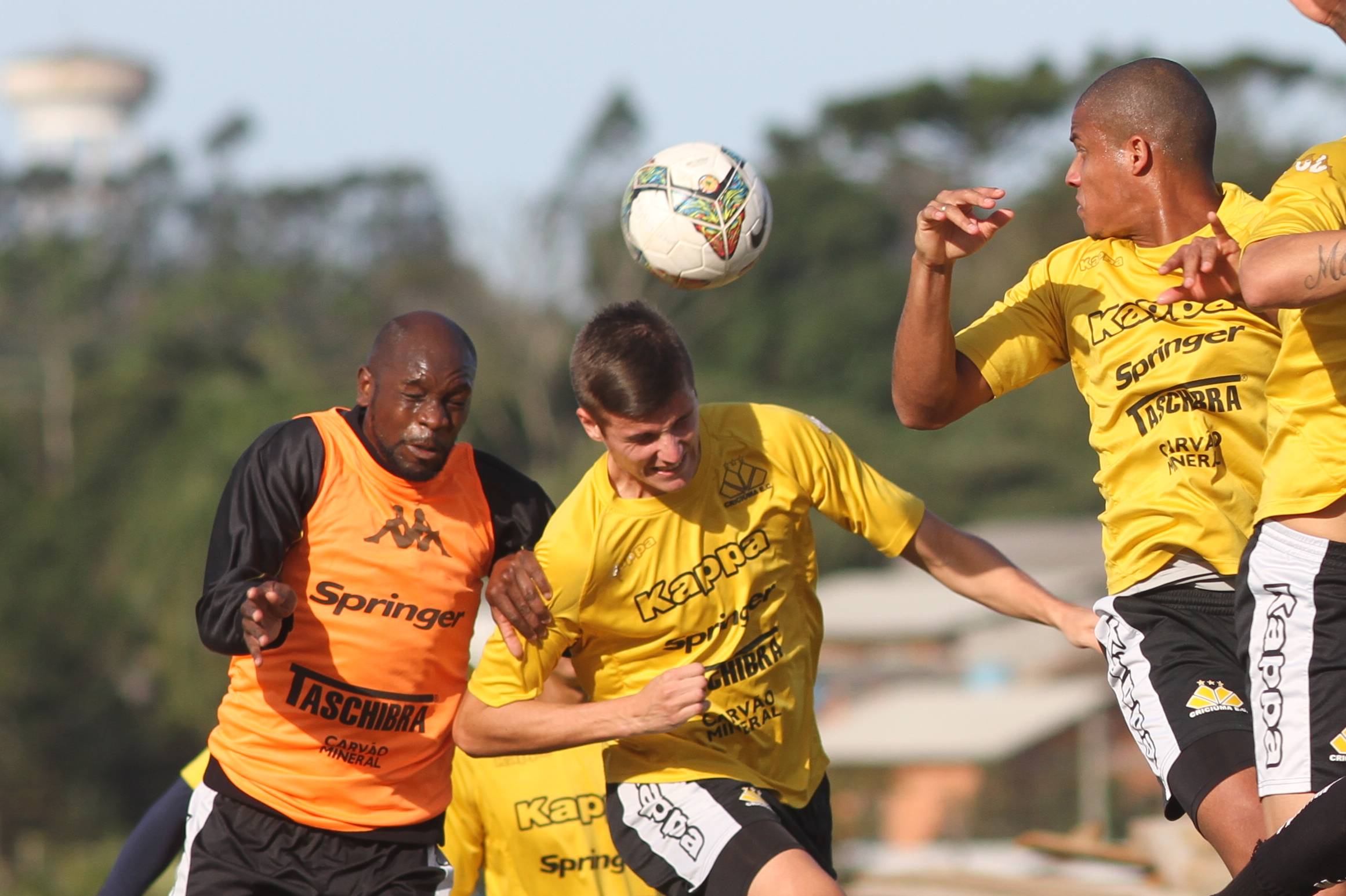 Pela Copa do Brasil, Tigre encara o Grêmio