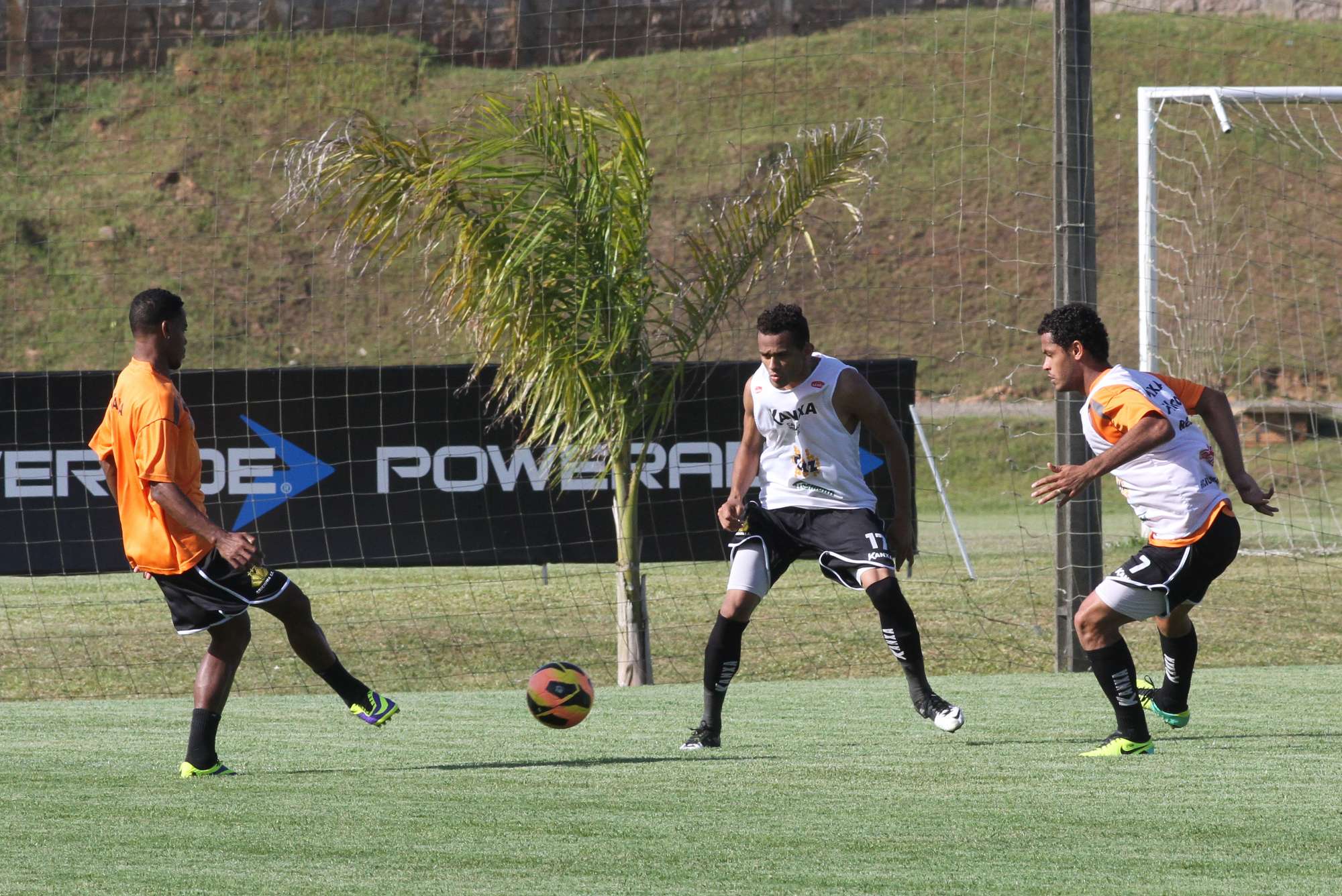 Tigre faz trabalho de movimentação