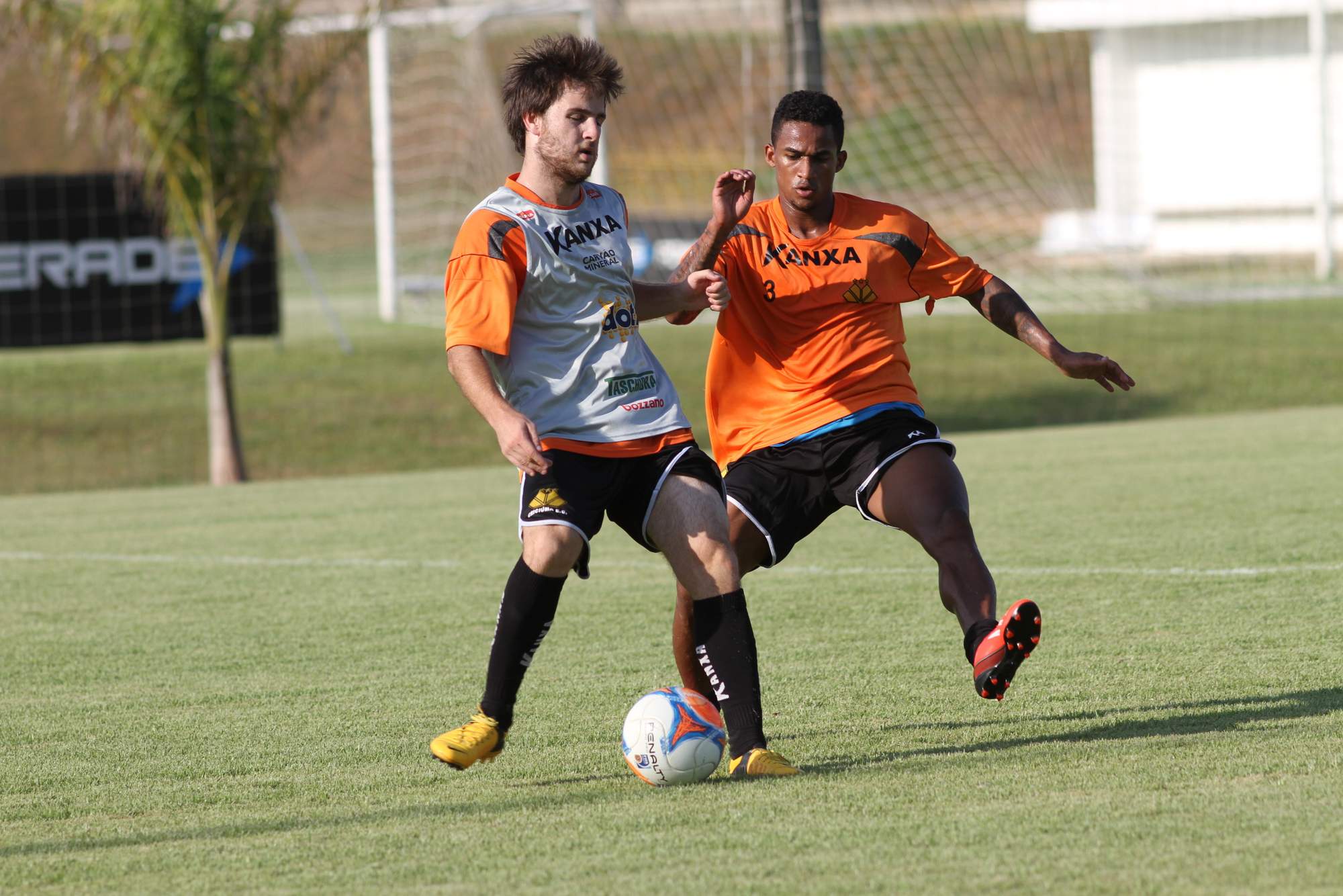 Trabalho tático no CT