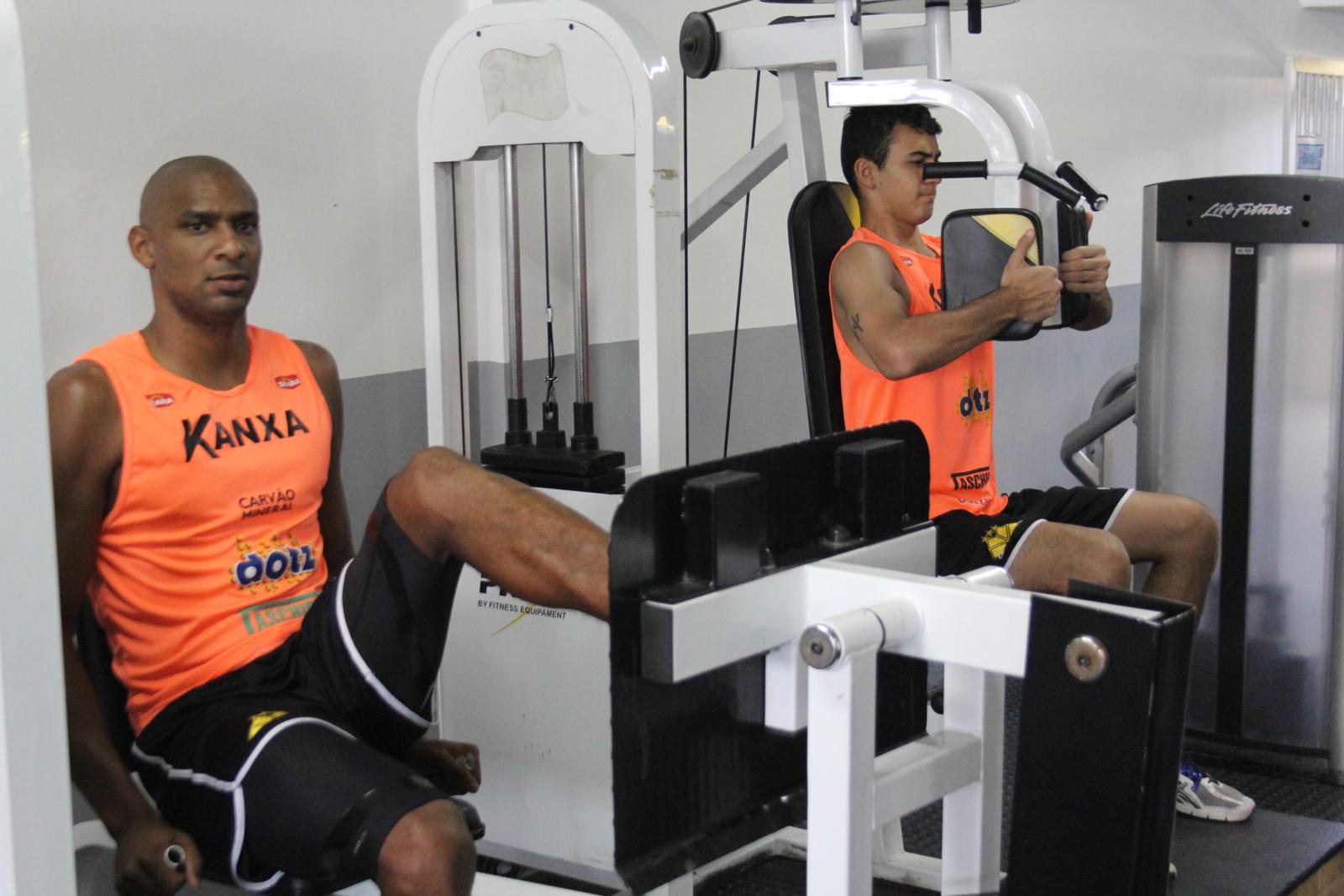 Tigre faz trabalho de força na academia